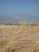 img_1063.jpg