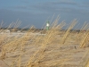 img_1063.jpg