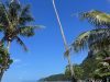 2026-08-13_14-50-28_915-scaled