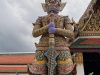 IMG_2408_00-scaled