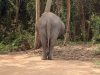 IMG_2737-scaled
