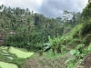 img_6666-1024x382